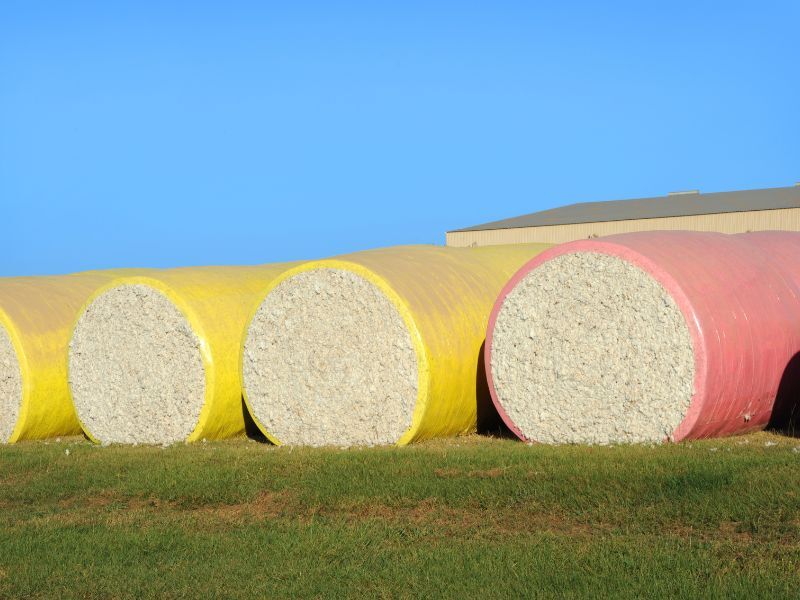 Cotton Bales